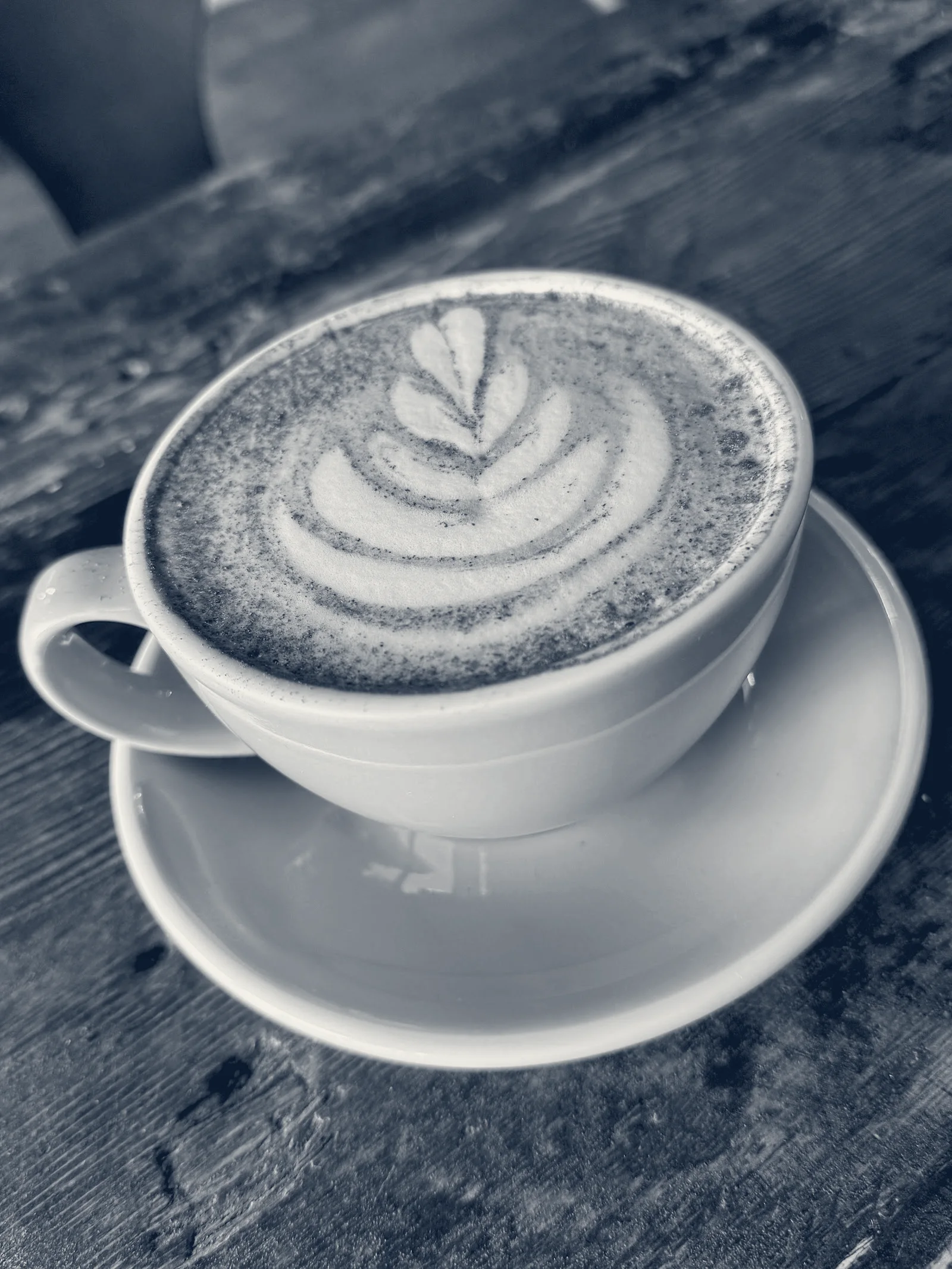 Figure 8 Coffee Purveyors Cafe & Roastery — Austin, Texas
