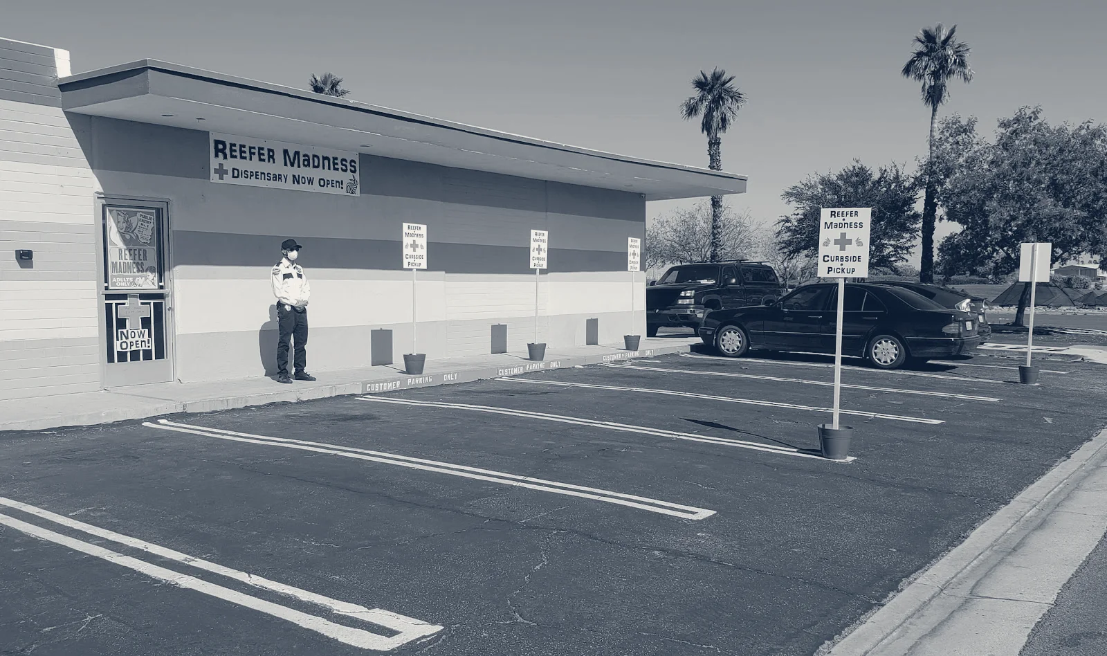 Reefer Madness Dispensary and Lounge — Palm Springs, California