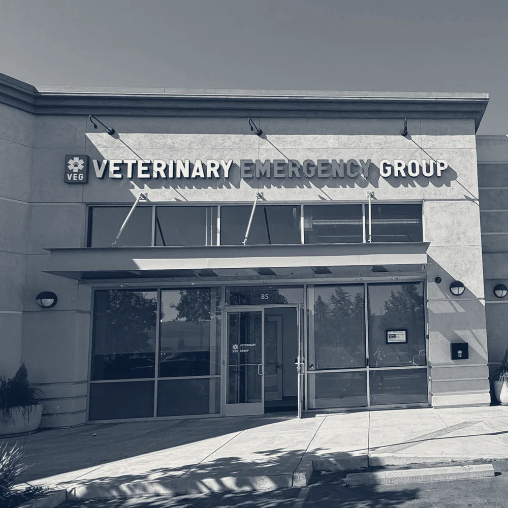 Veterinary Emergency Group — San Jose, California