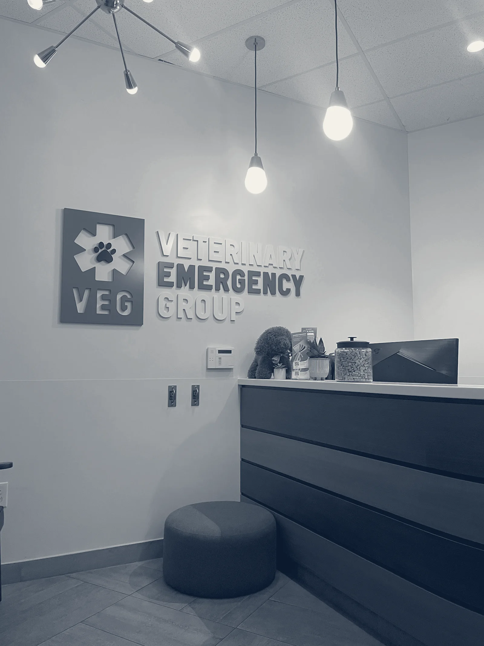 Veterinary Emergency Group — San Jose, California