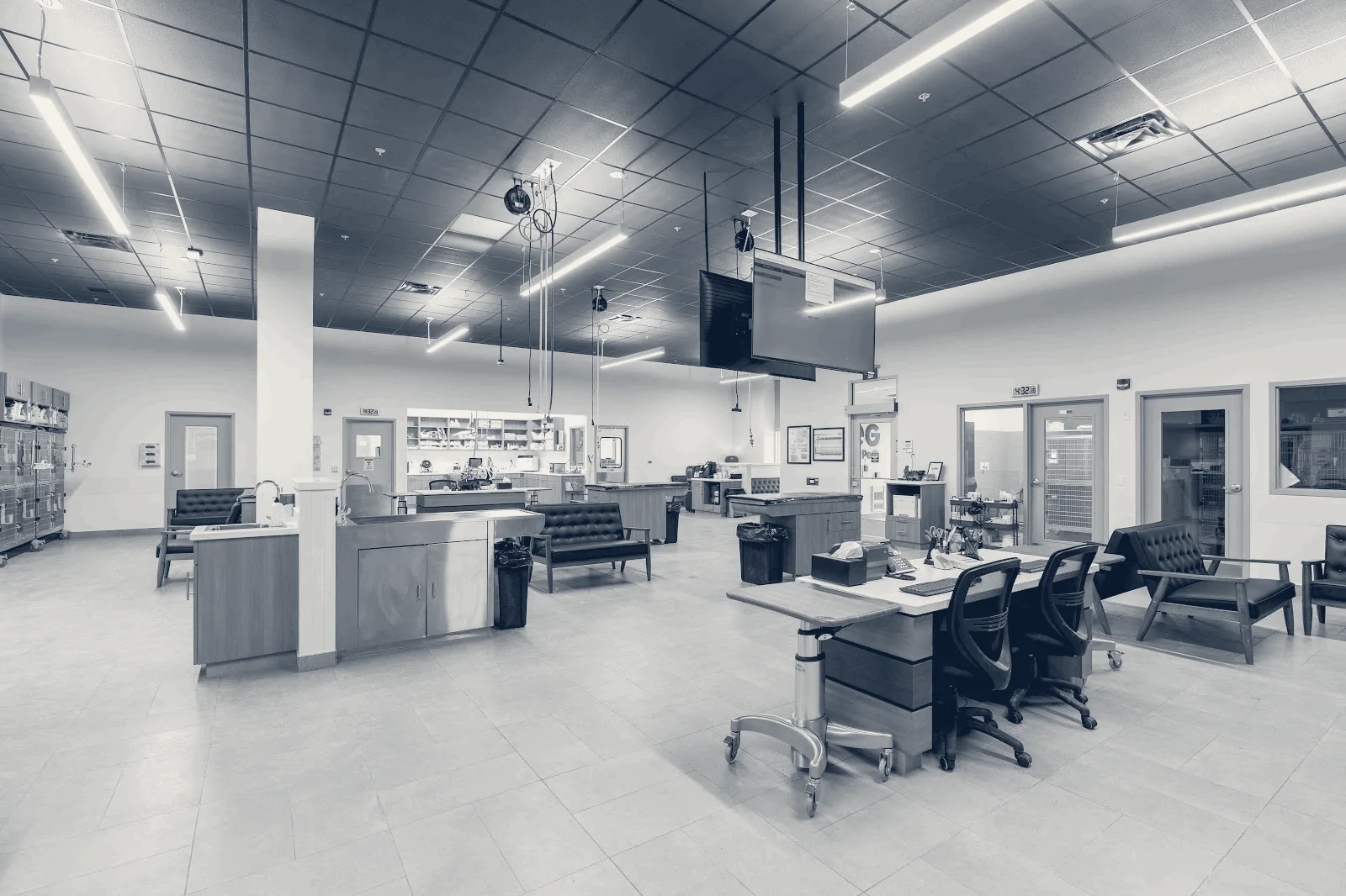 Veterinary Emergency Group — San Jose, California