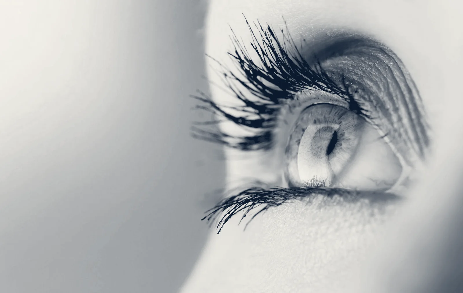 Eye Care and Laser Surgery of Newton - Wellesley — Wellesley, Massachusetts