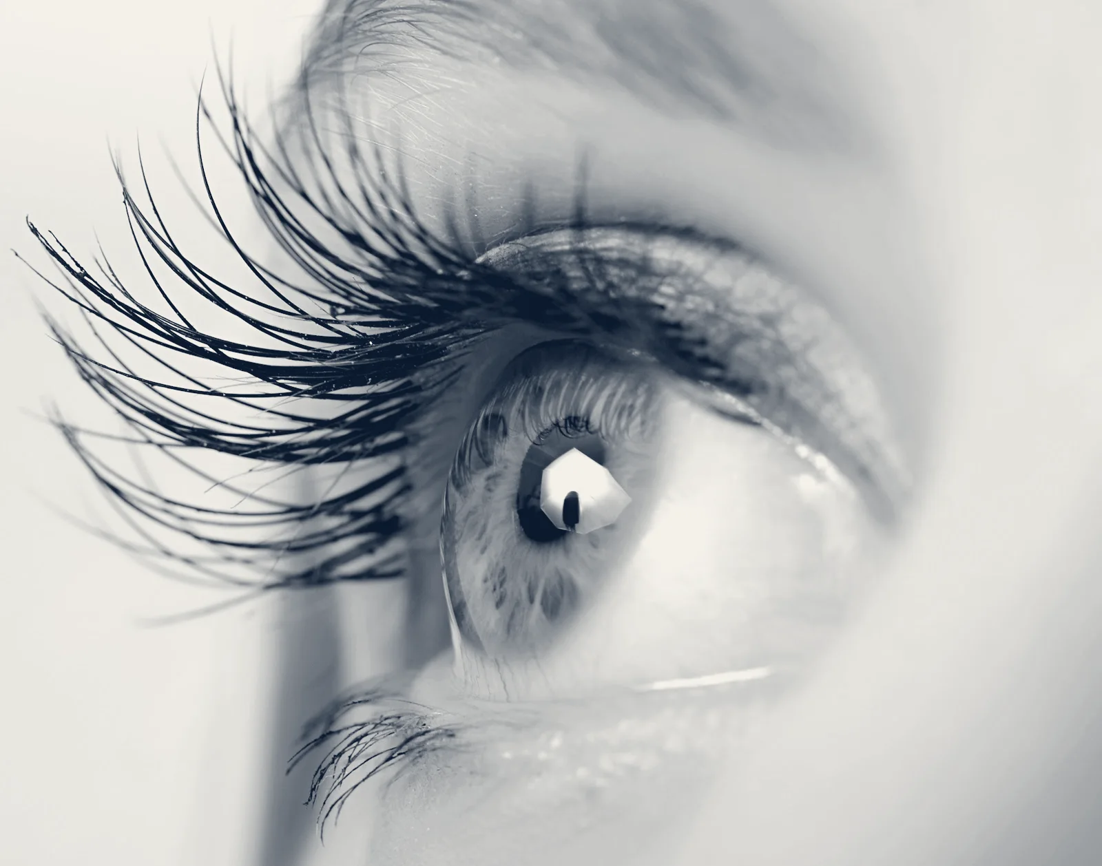 Empire Eye and Laser Center — Bakersfield, California