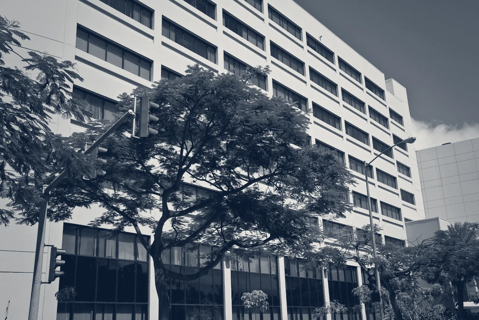 Honolulu Eye Clinic — Honolulu, Hawaii