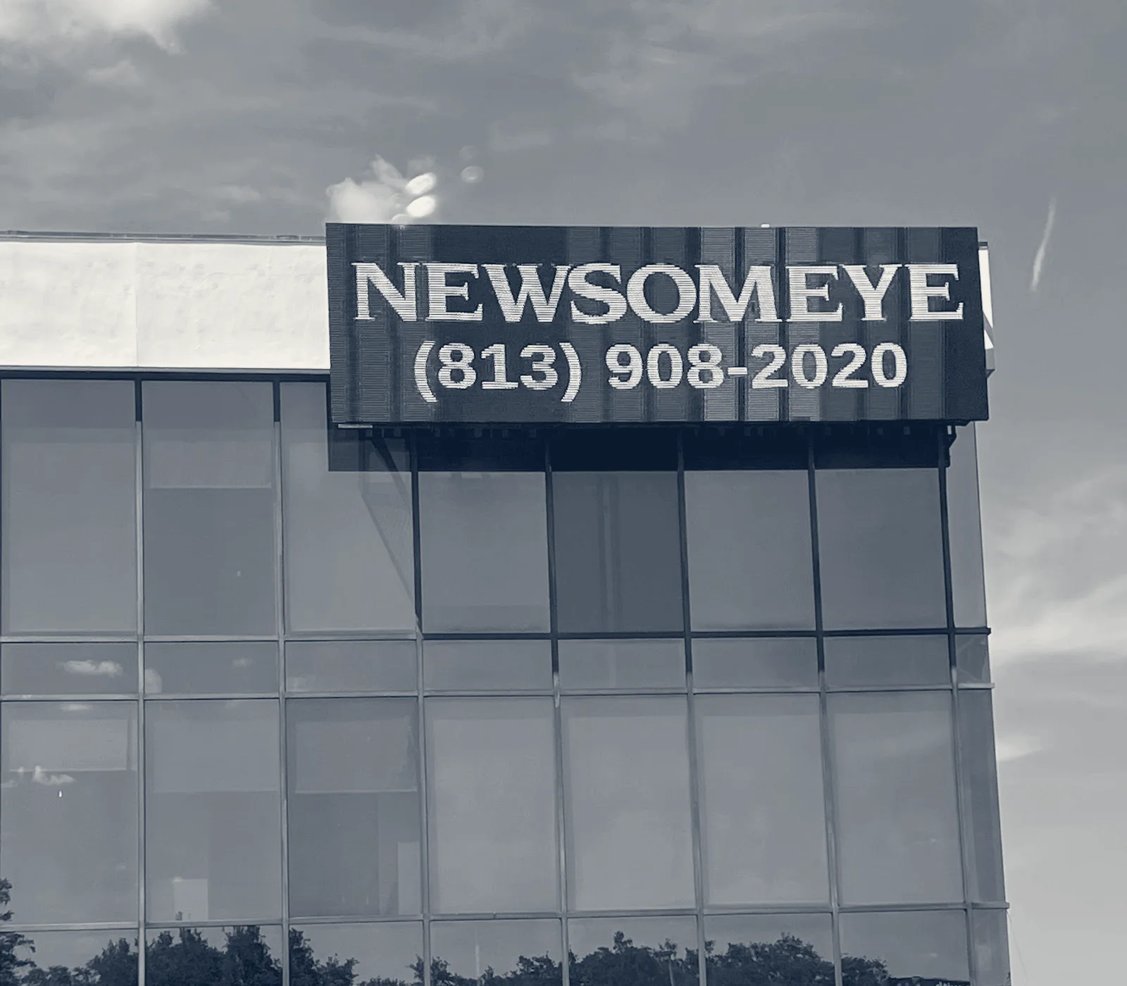 Newsom Eye - South Tampa — Tampa, Florida