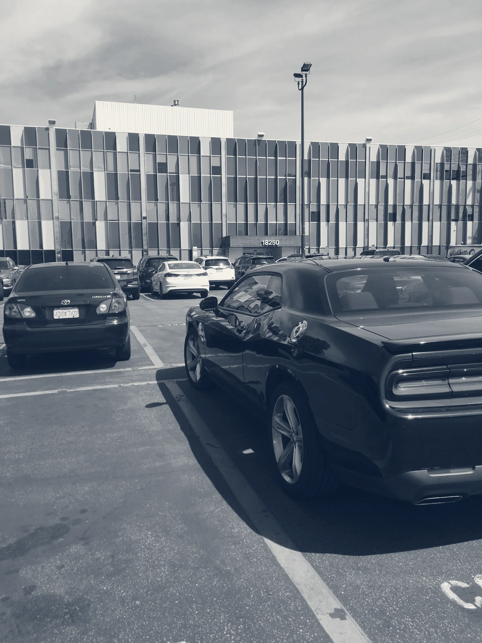 Shultz Chang Vision — Northridge, California
