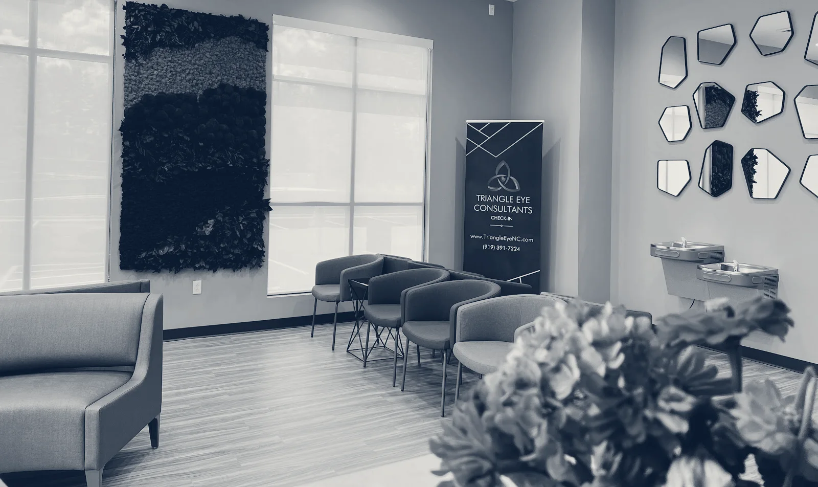 Triangle Eye Consultants — Raleigh, North Carolina
