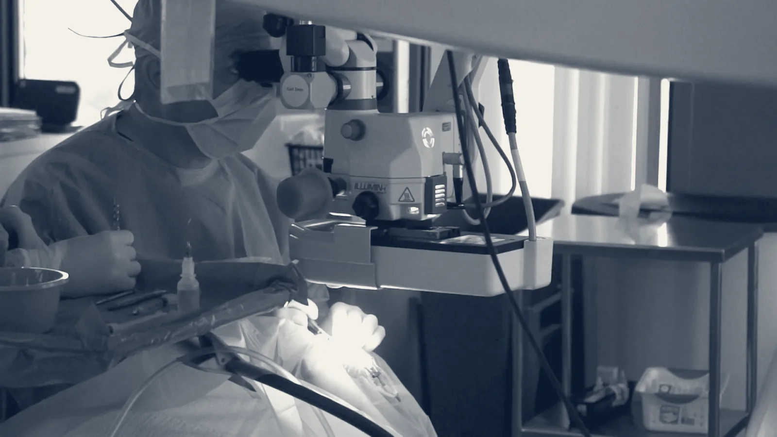 Vision for Life: Jeffrey D. Horn, M.D. — Nashville, Tennessee