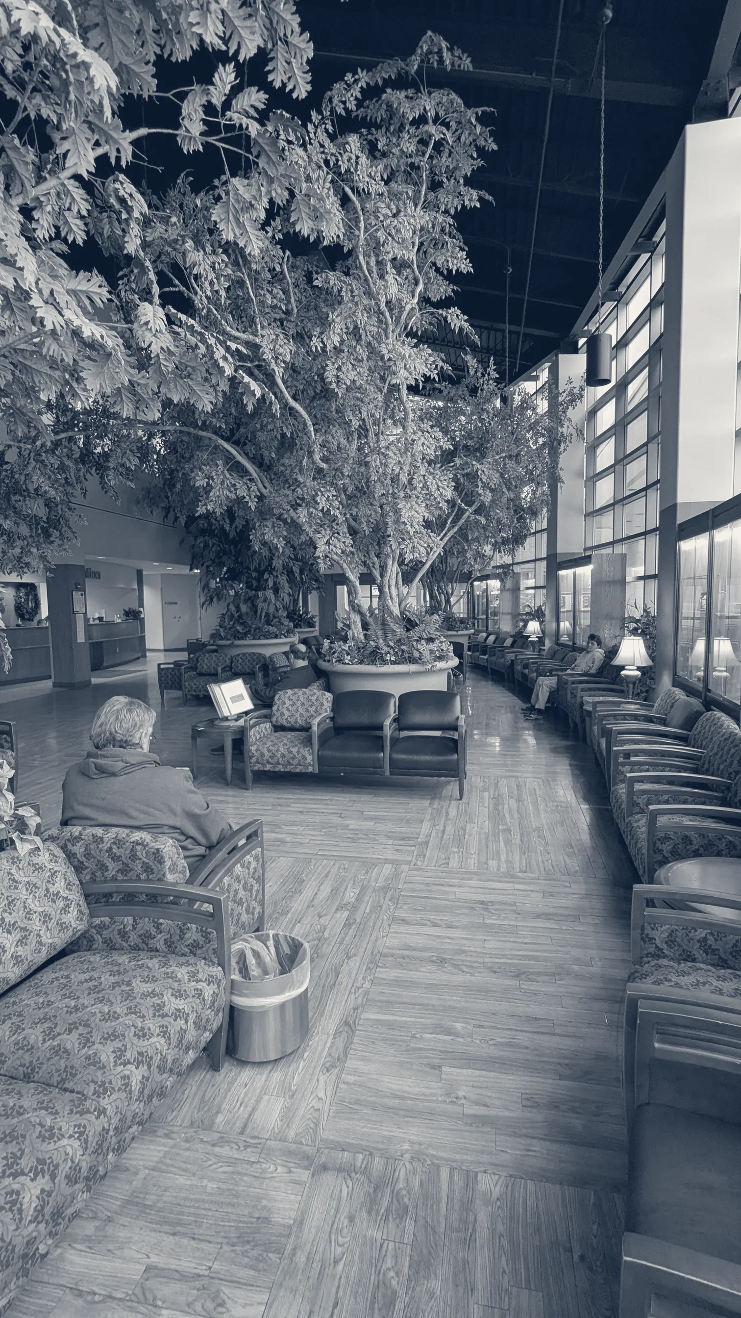 WVU Eye Institute — Morgantown, West Virginia