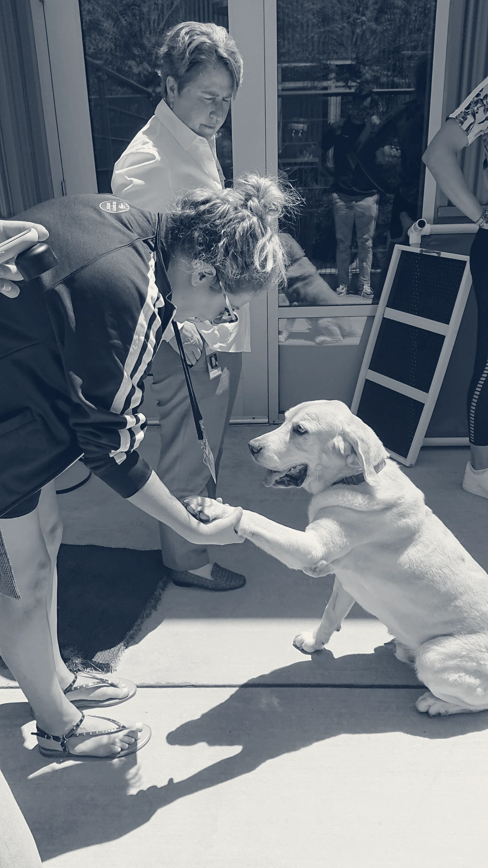 Humane Society Silicon Valley — Milpitas, California