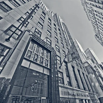 Vitalis Consulting LLC — New York, New York