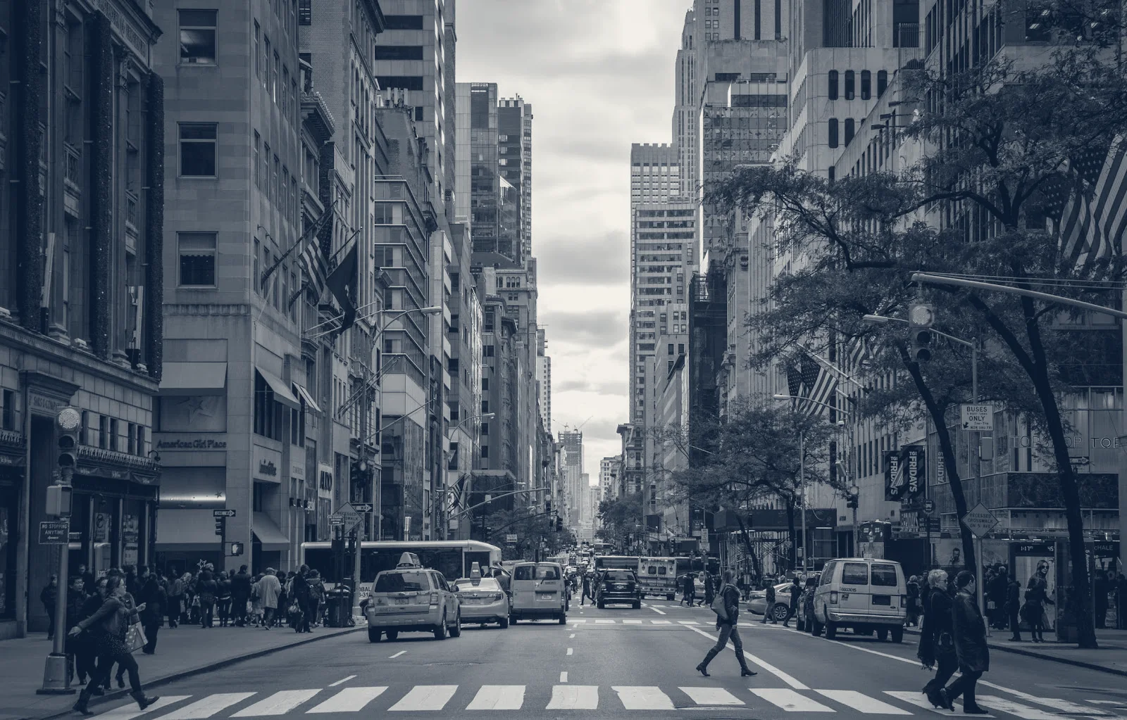 Vitalis Consulting LLC — New York, New York
