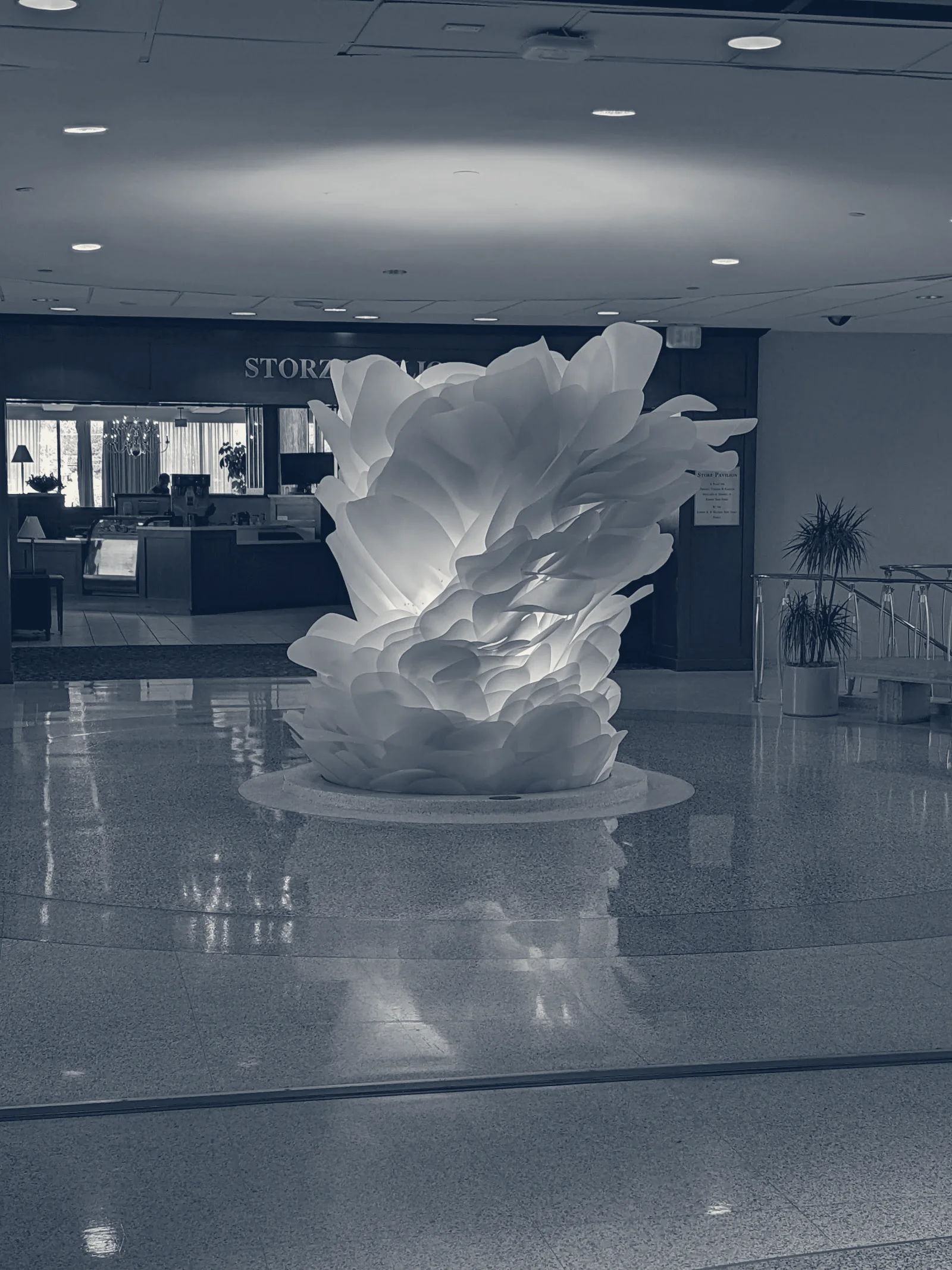 Nebraska Medical Center — Omaha, Nebraska