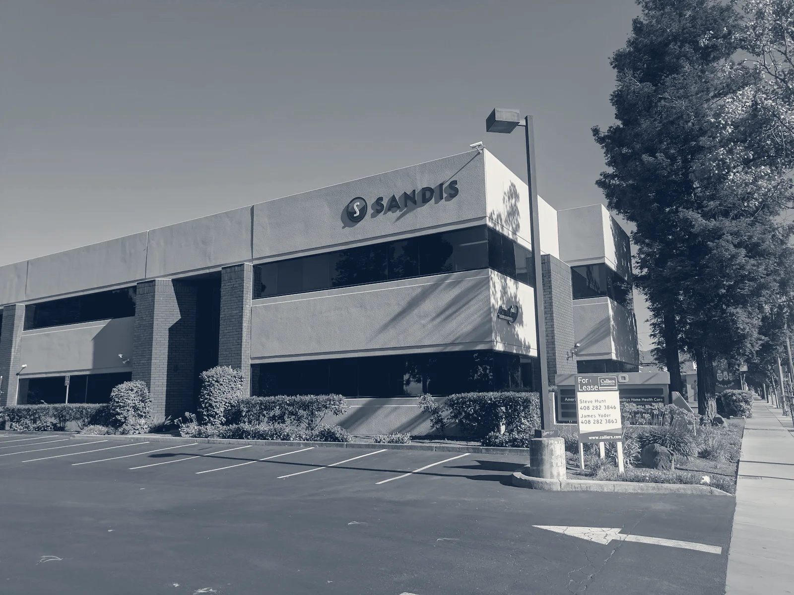 Sandis — Campbell, California