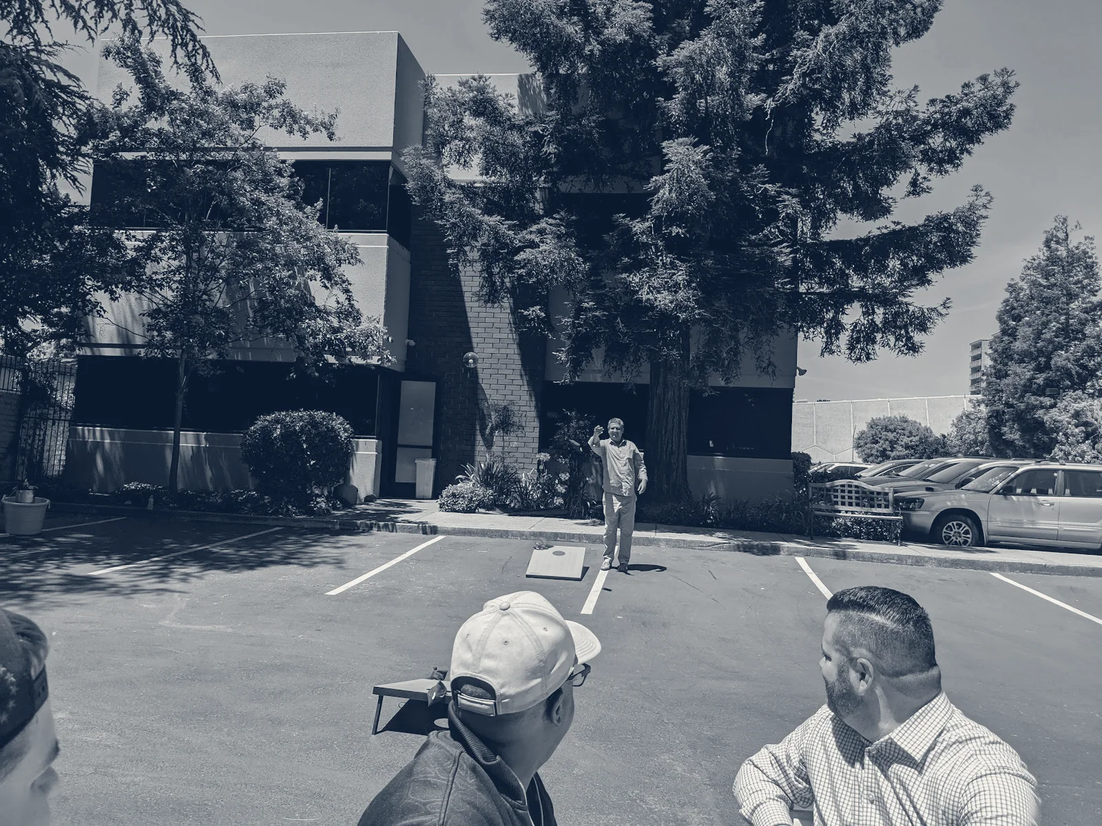Sandis — Campbell, California