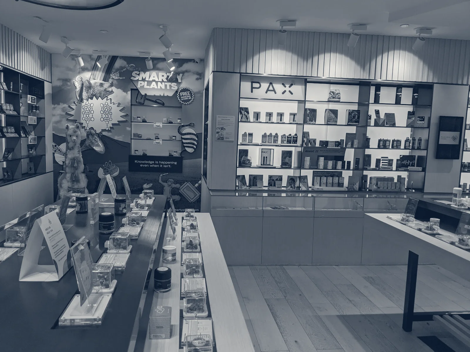 The Artist Tree Dispensary West Hollywood — West Hollywood, California