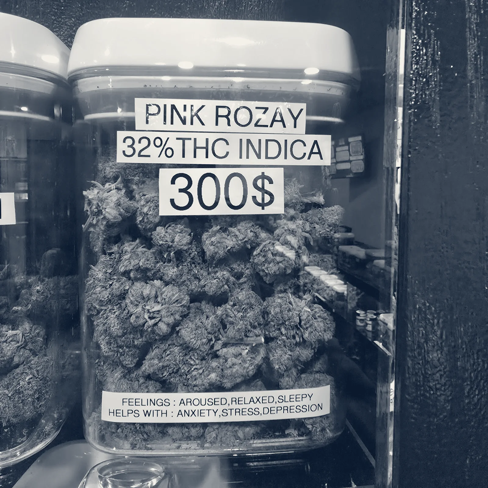 Best Budz — Hogansburg, New York