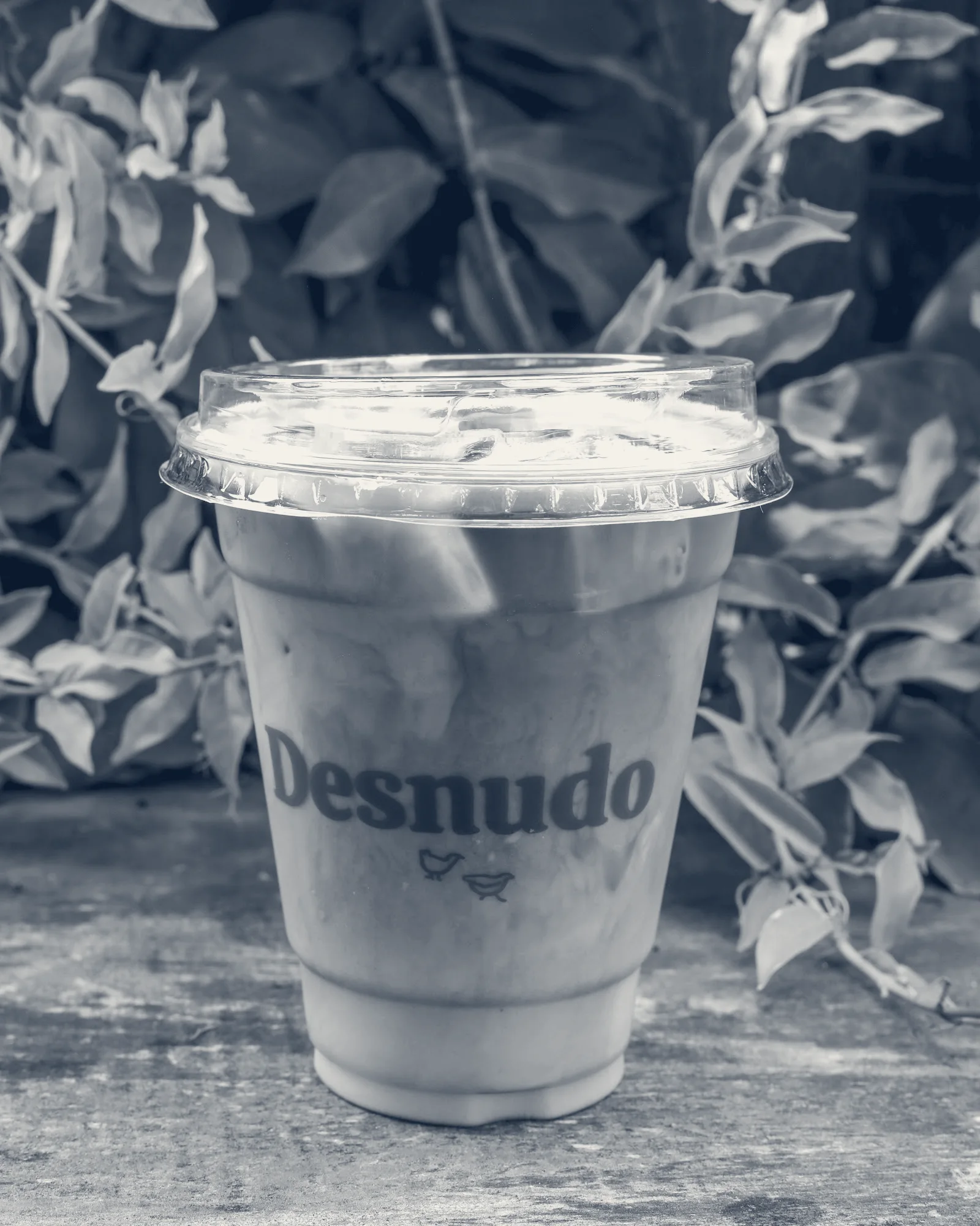 Desnudo Coffee: East Austin — Austin, Texas
