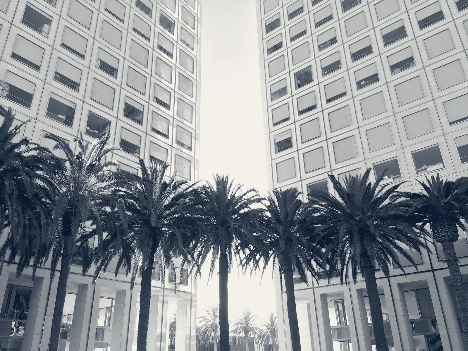 Twelve12 Marketing Branding Co. Orange County — Irvine, California