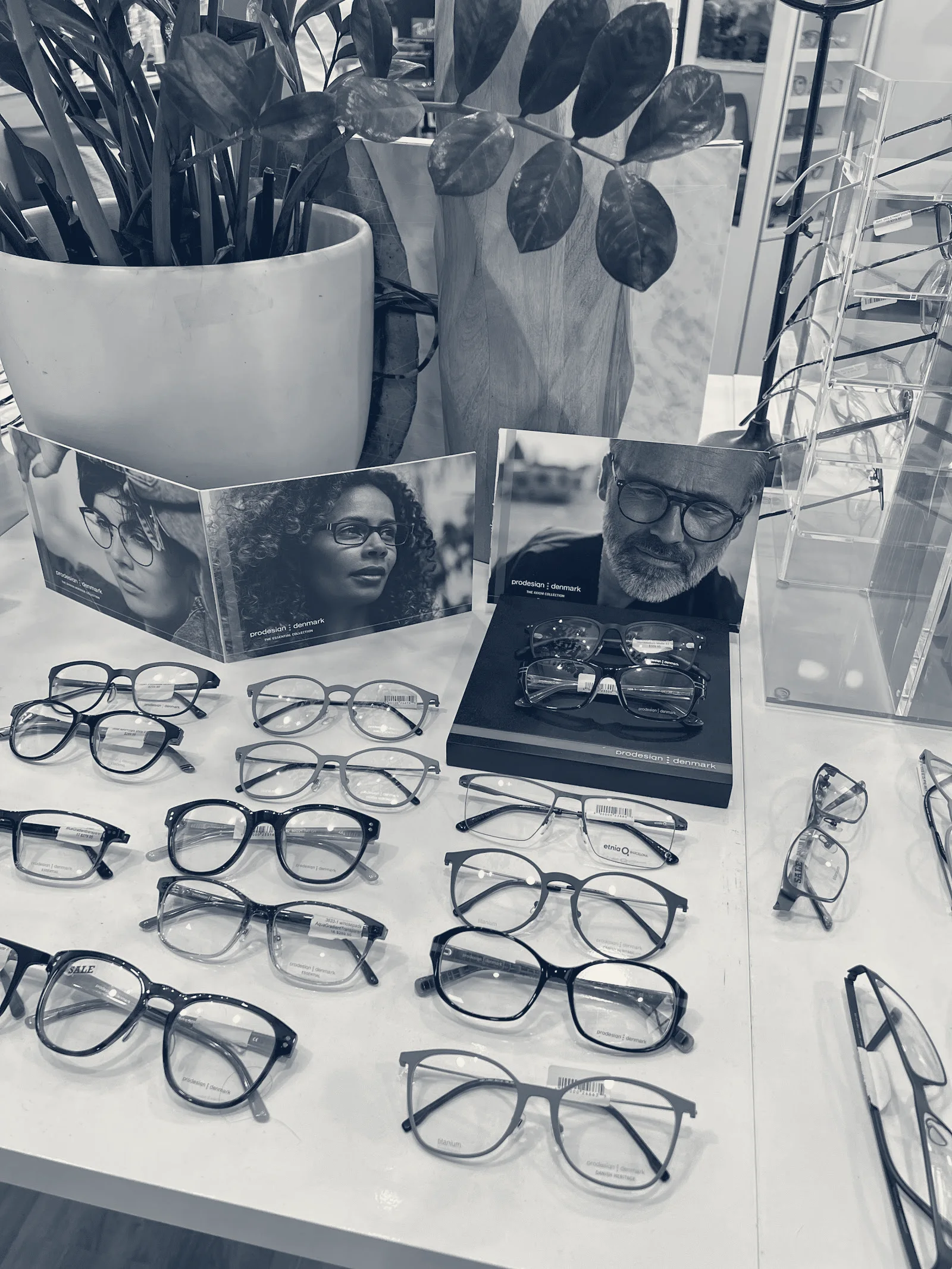Insight Eye Care — Provo, Utah