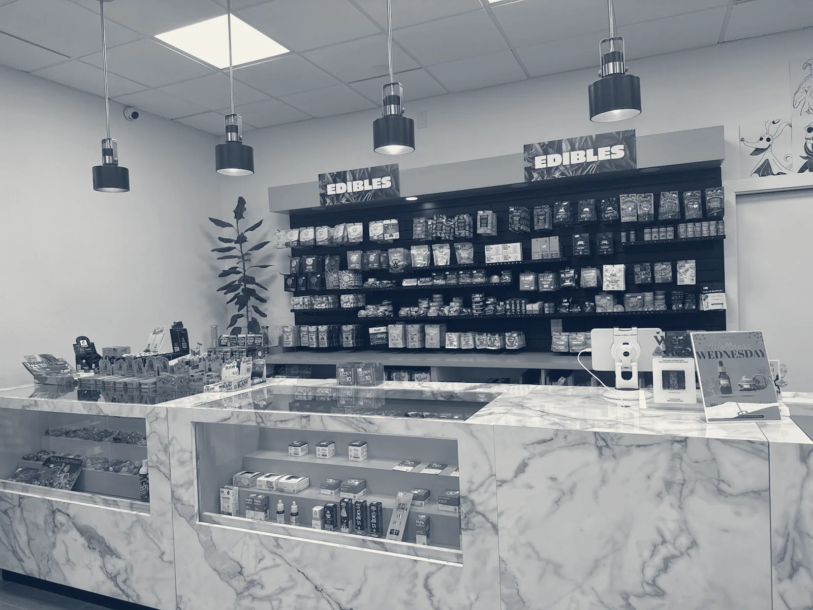 Desert Kush Dispensary Hwy 111 — Cathedral City, California