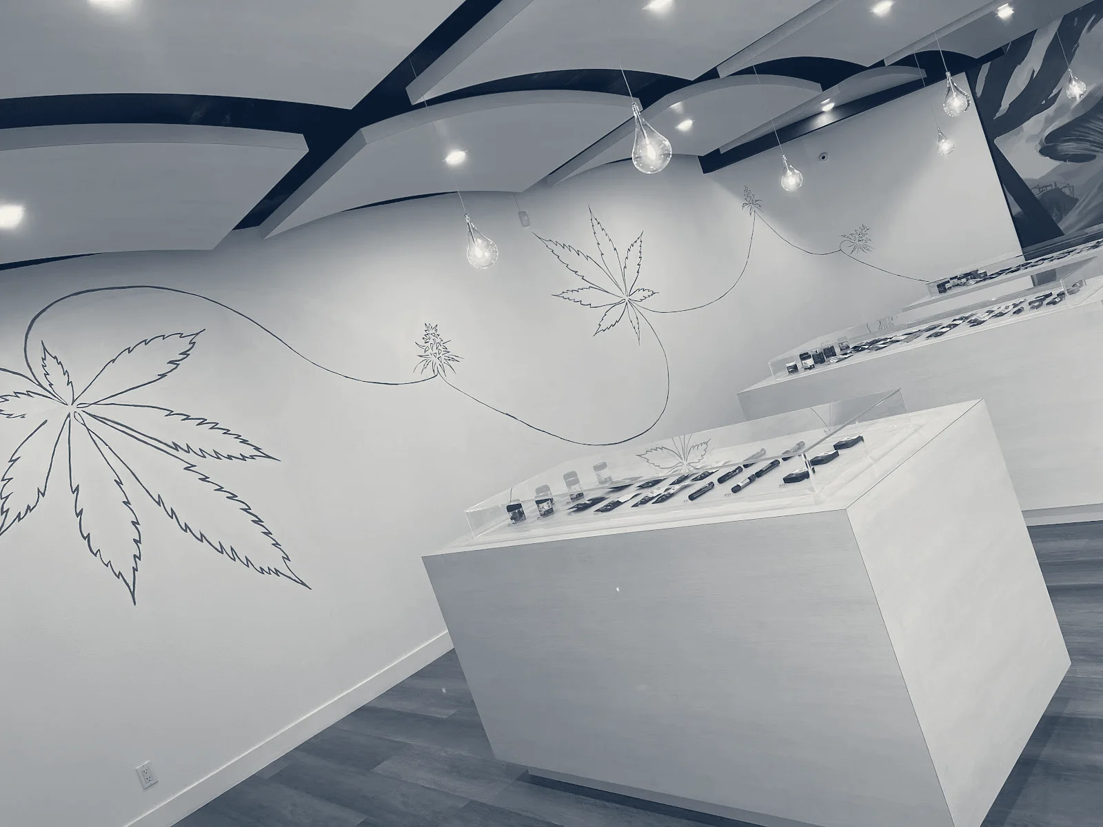 High Rollers Cannabis Co — Palm Springs, California