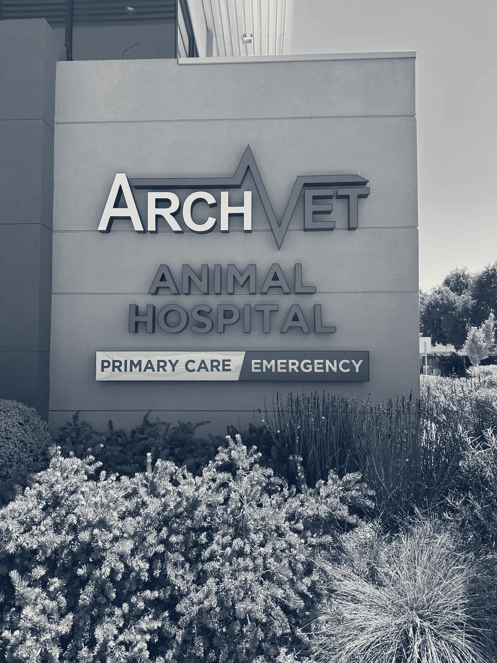 ARCHVET Emergency Hospital — San Jose, California
