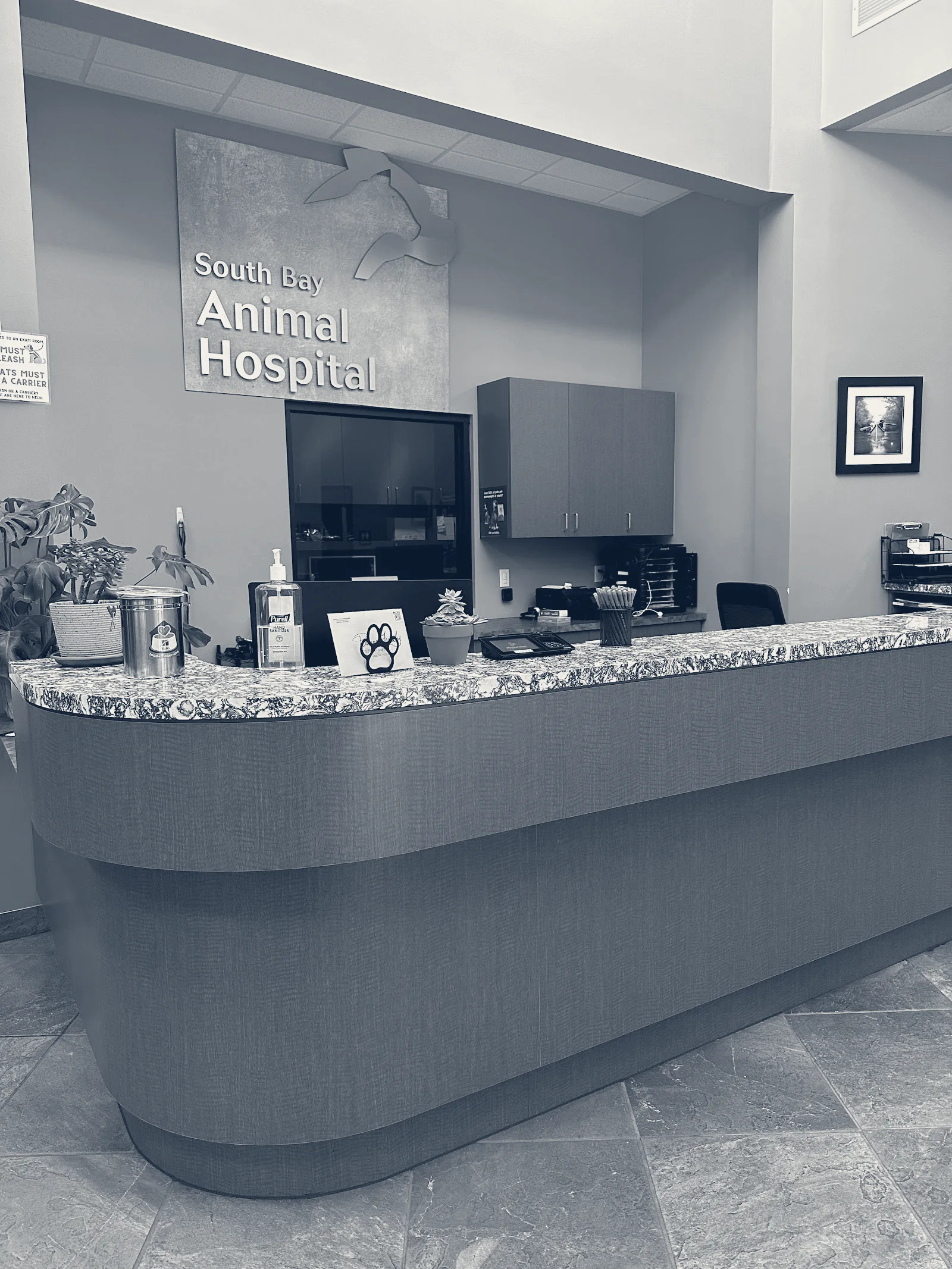 South Bay Animal Hospital & Emergency — San Jose, California