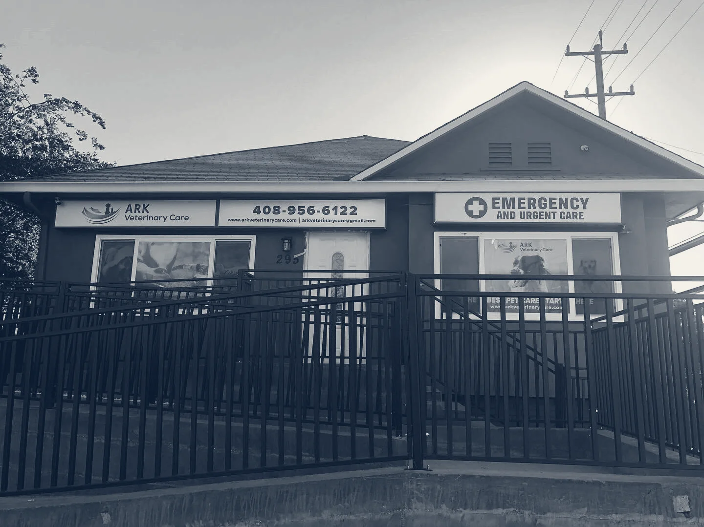 Ark Veterinary Care — San Jose, California