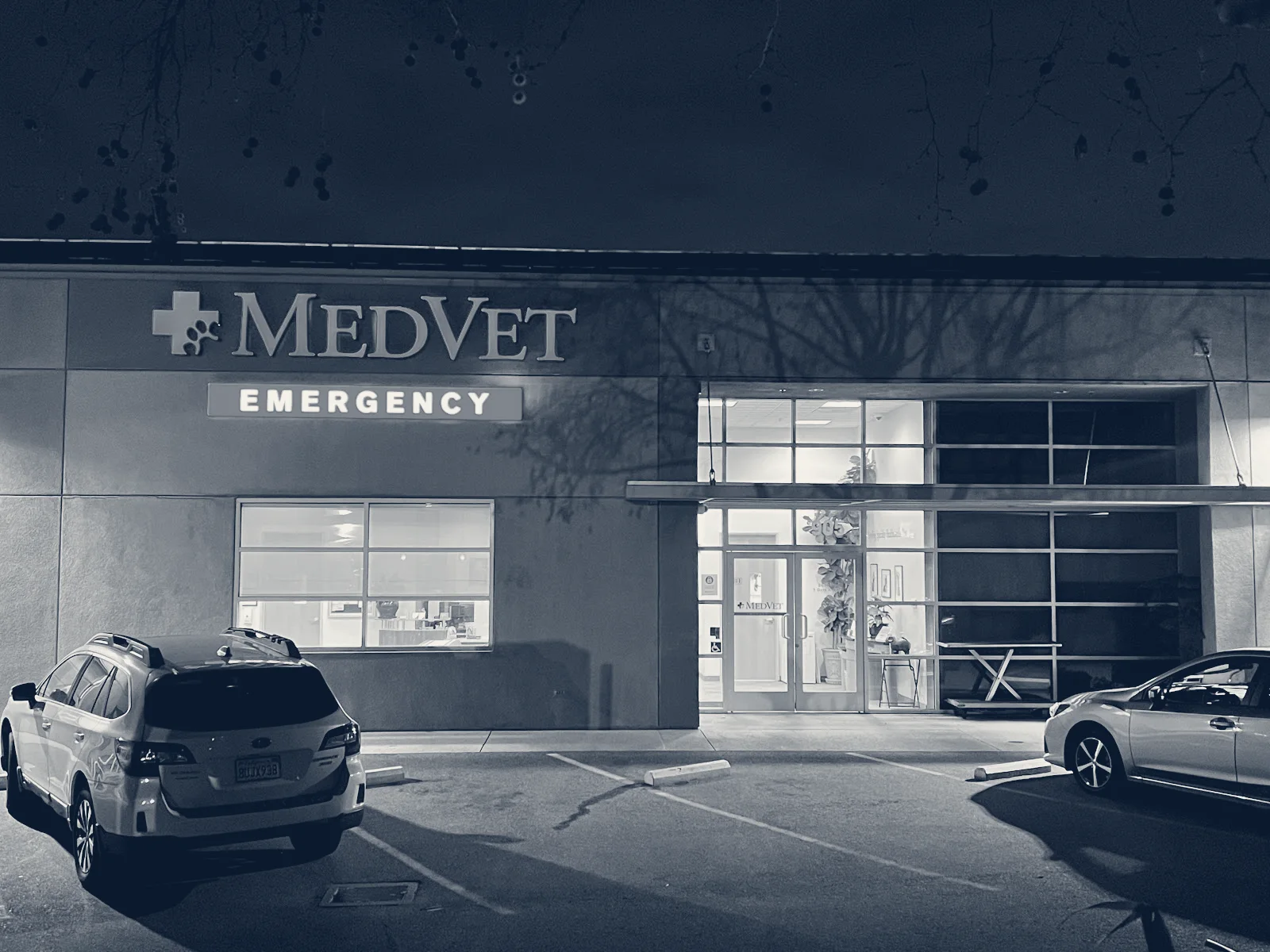 MedVet Campbell — Campbell, California