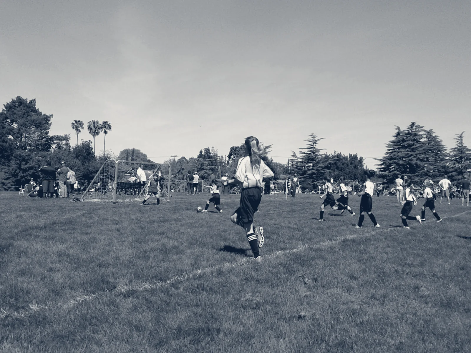 Campbell Community Center — Campbell, California
