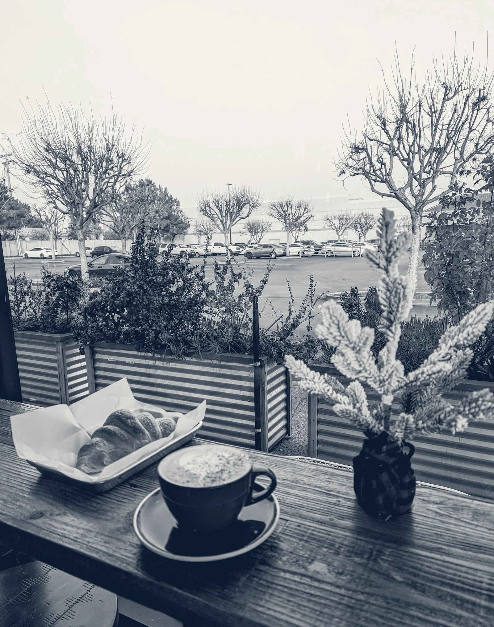 Spectra Coffee — San Jose, California
