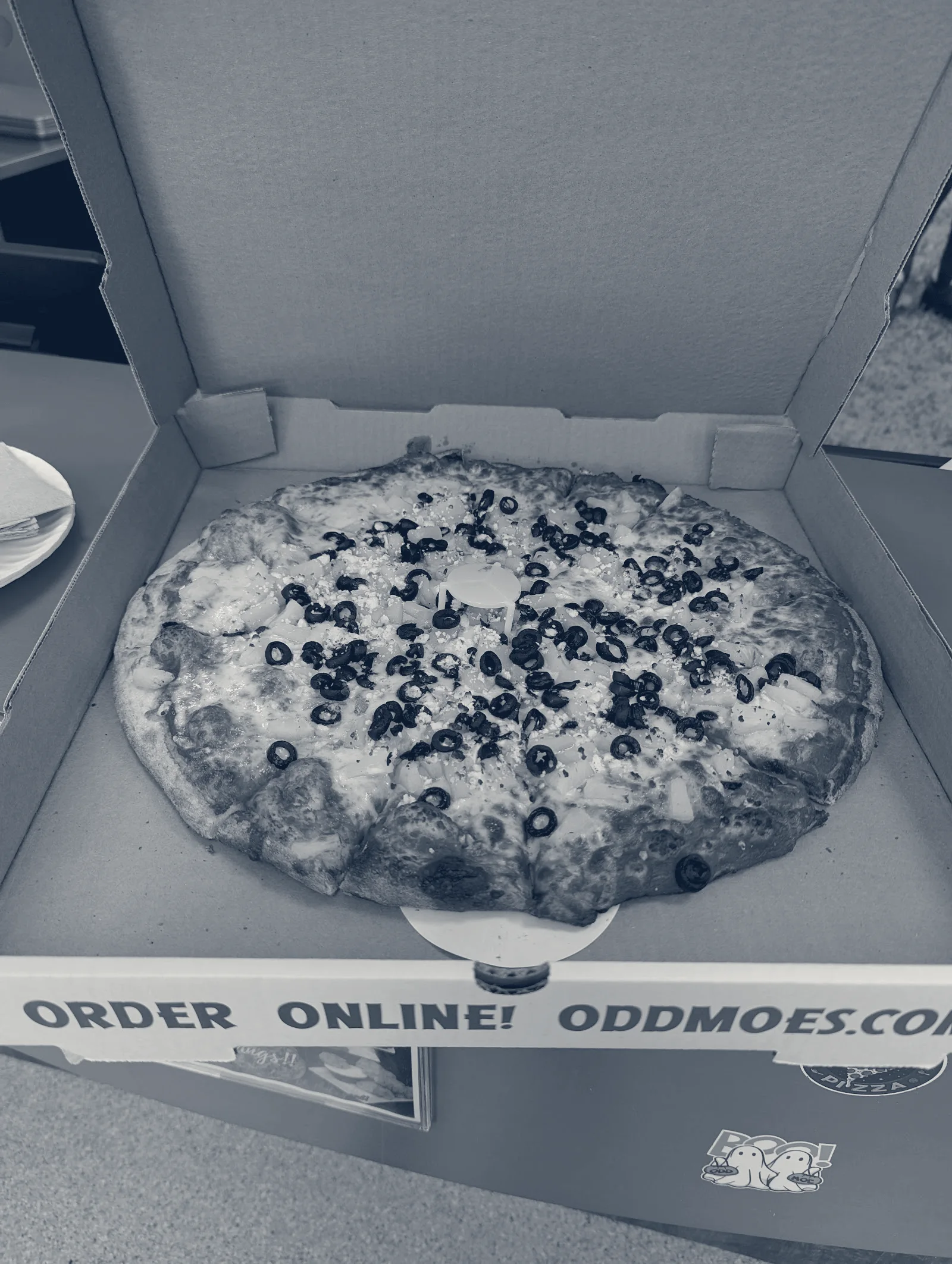 Odd Moe's Pizza — Salem, Oregon