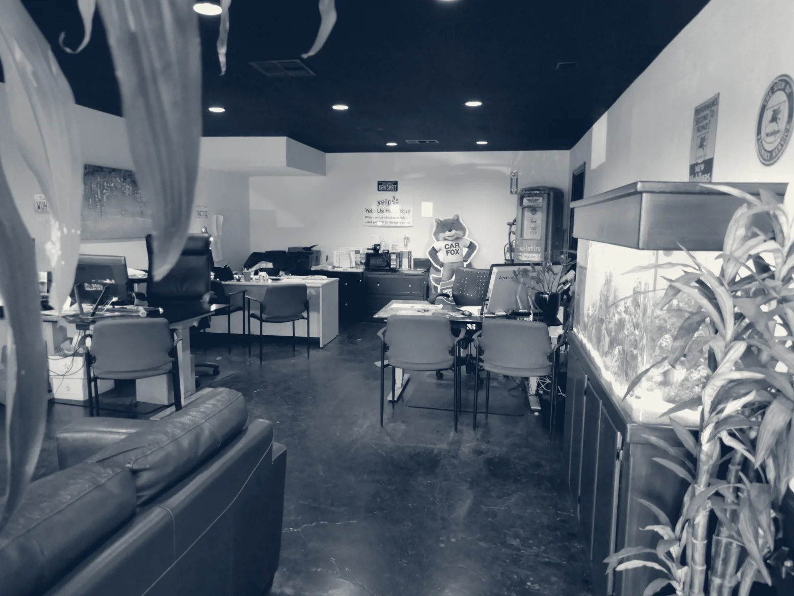 DriveSmart Motors — Orange, California