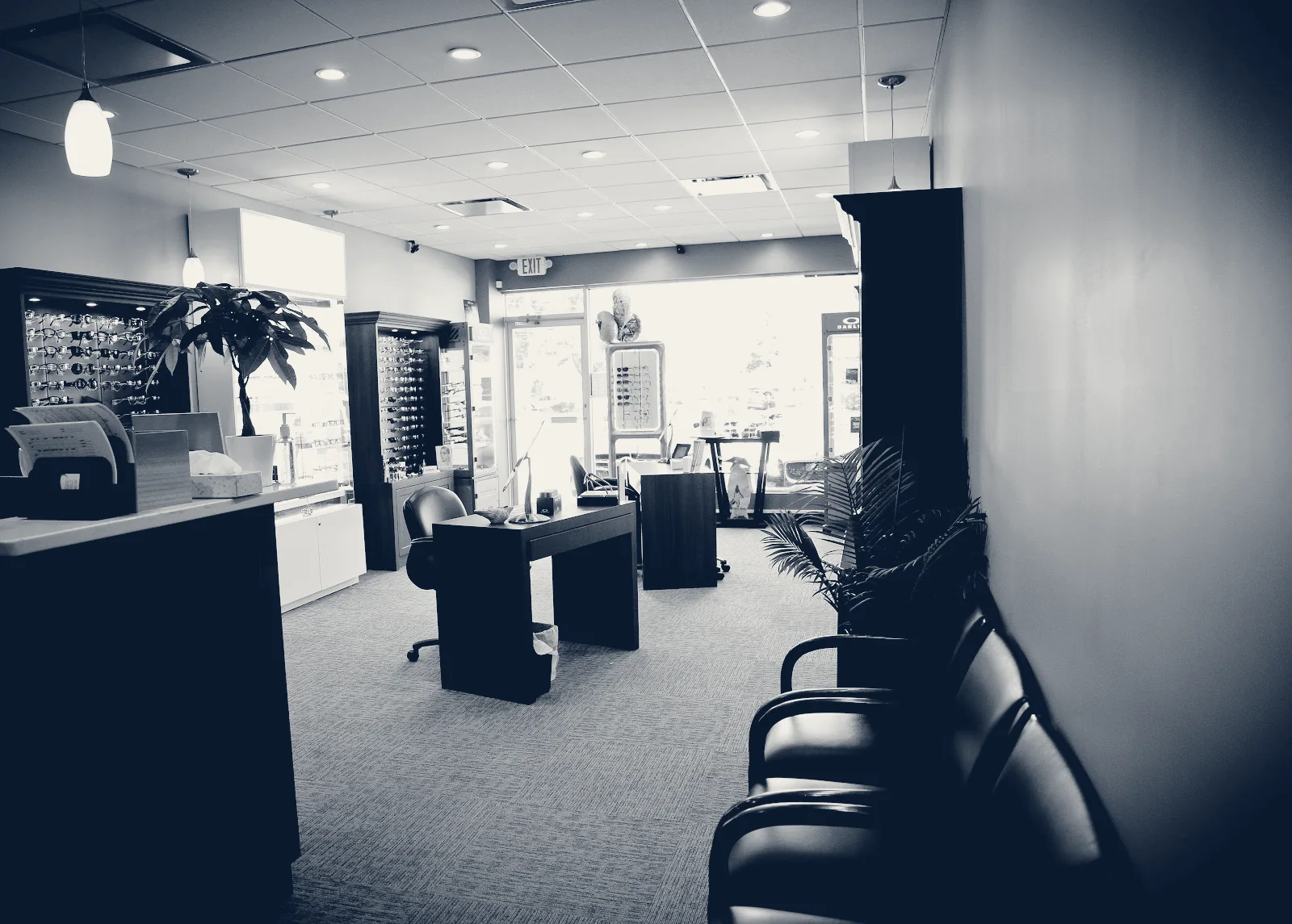 Shore Vision — Massapequa, New York