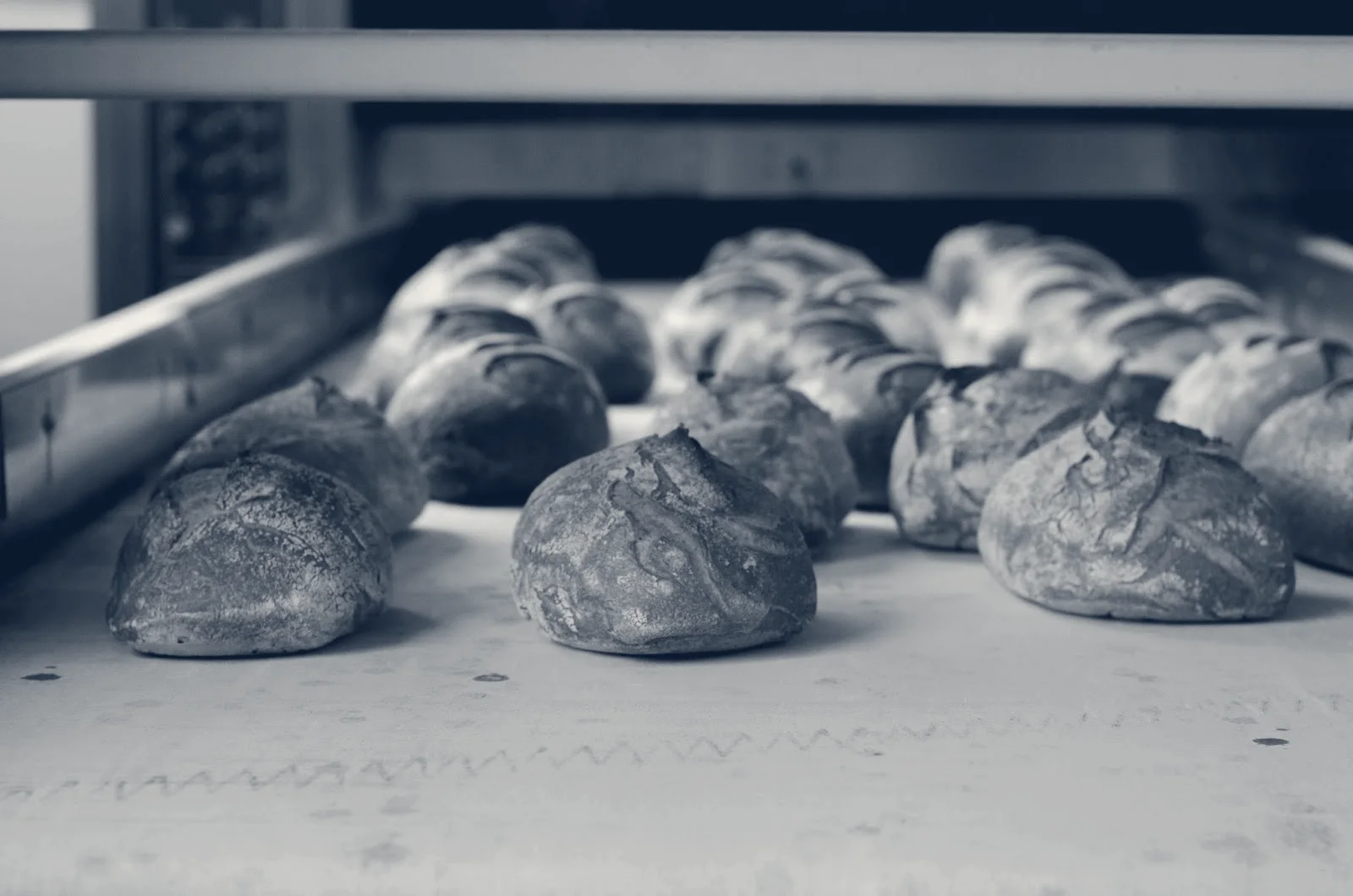 Grand Central Bakery - Woodstock cafe — Portland, Oregon
