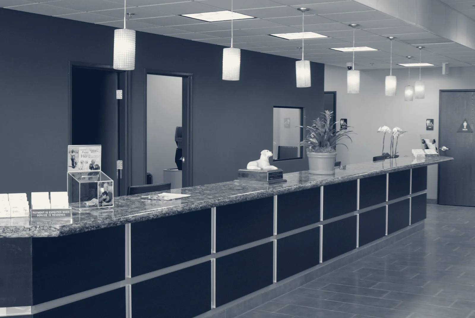 Milauskas Eye Institute - Rancho Mirage — Rancho Mirage, California