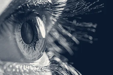 The Eye Institute of West Florida — Tampa, Florida