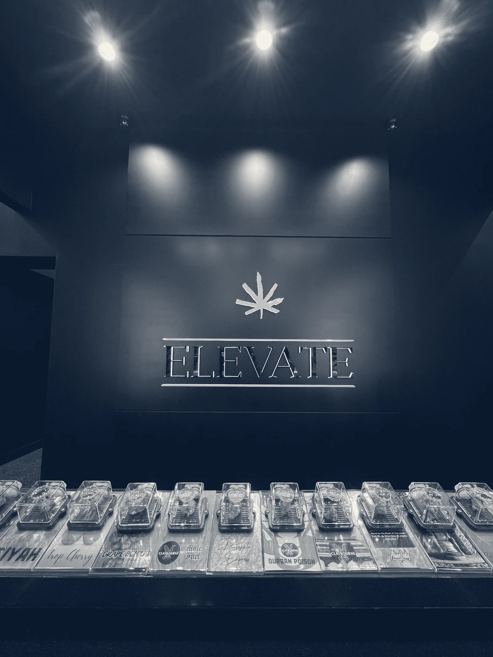 Elevate Weed Dispensary Woodland Hills — Woodland Hills, California