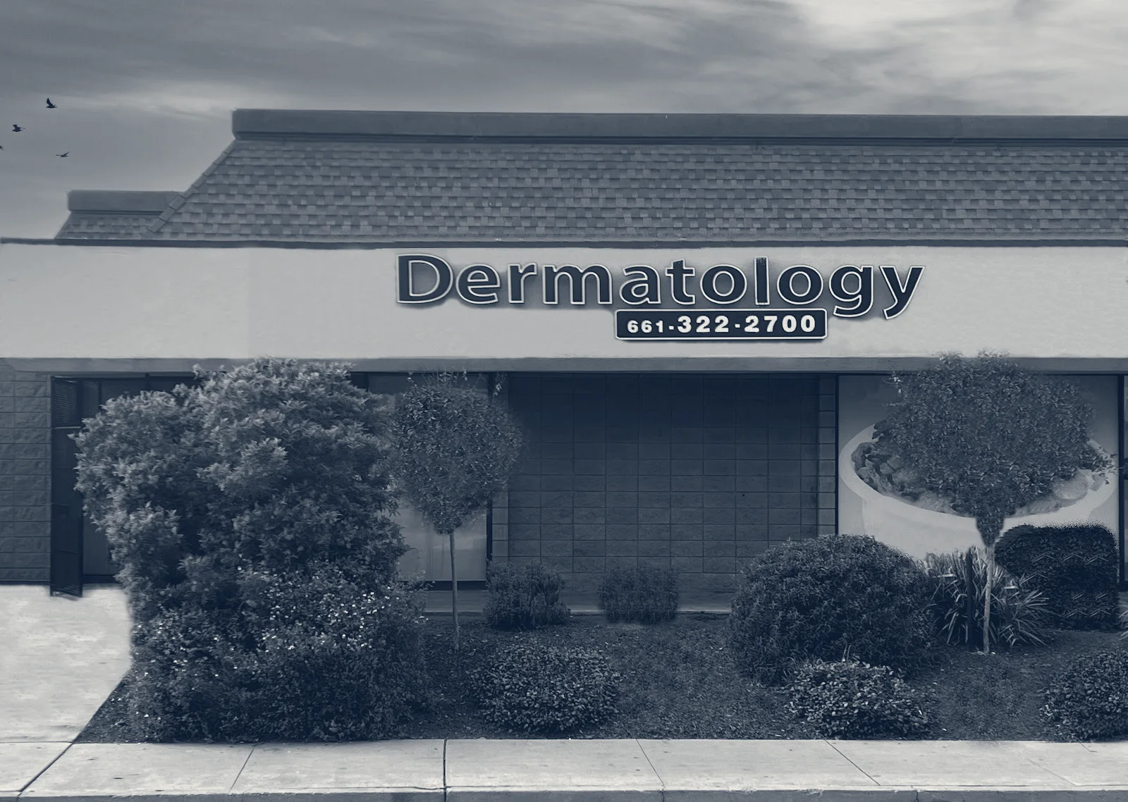 Skin and Cancer Institute - Bakersfield (California Ave.) — Bakersfield, California
