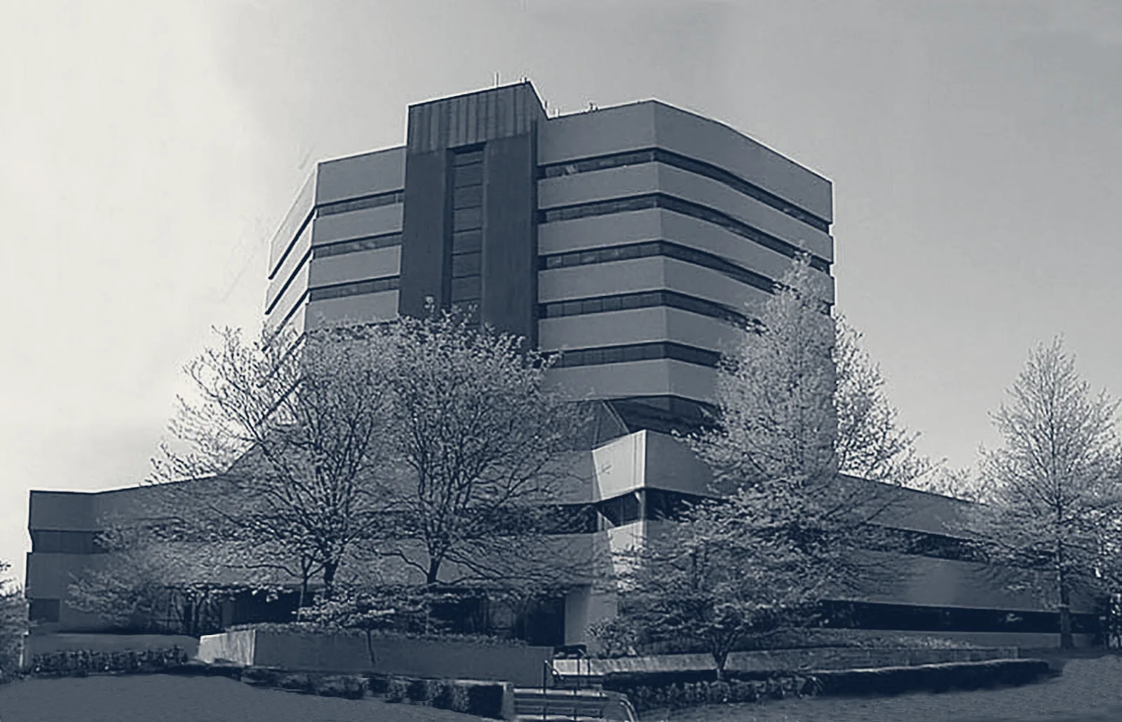Dr. David E. Cowen, MD — Lexington, Kentucky