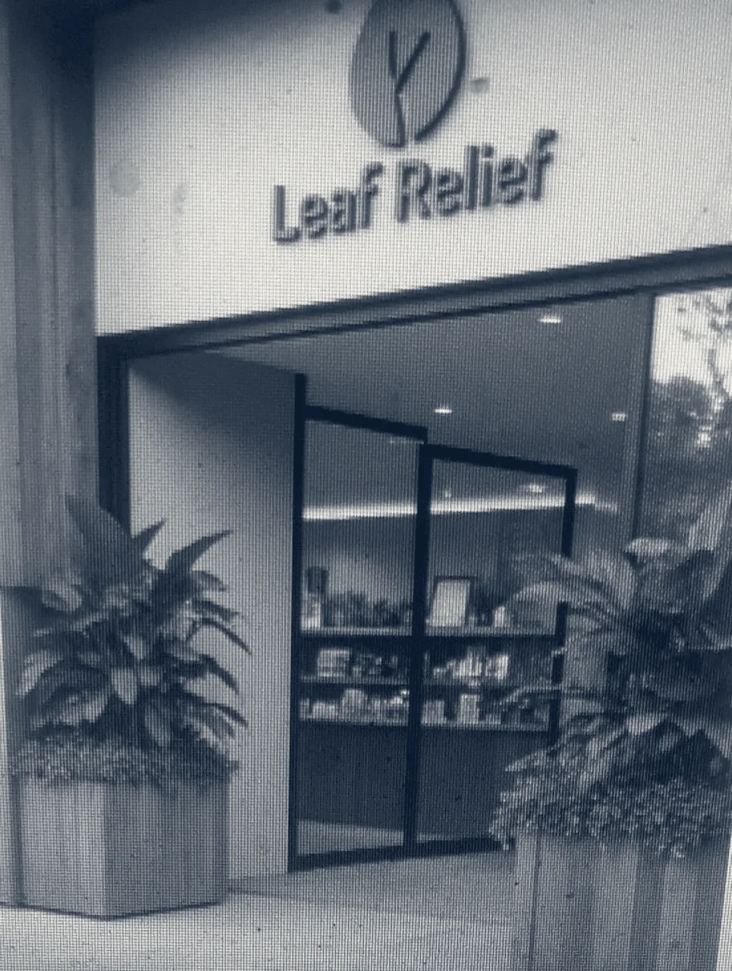 Leaf Relief — Los Angeles, California