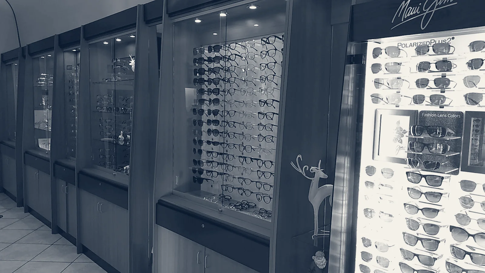 Jackson Heights Vision Center — Jackson Heights, New York