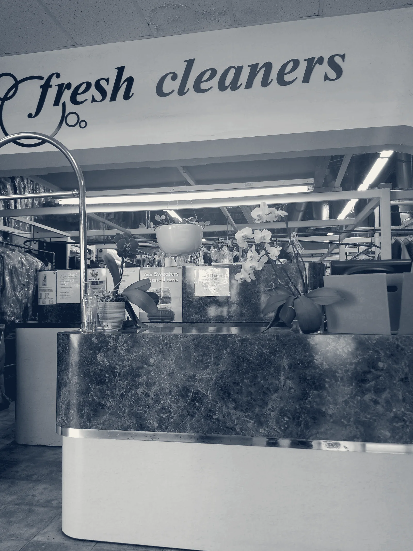 Fresh Cleaners At Woodland — Woodland, California