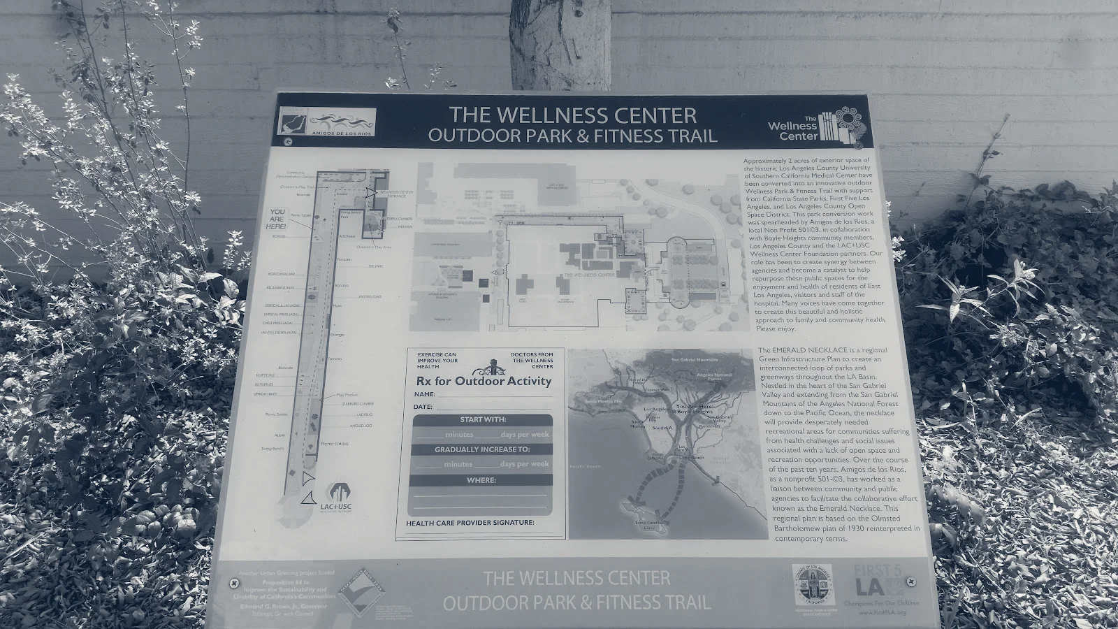 The Wellness Center @ General Hospital — Los Angeles, California