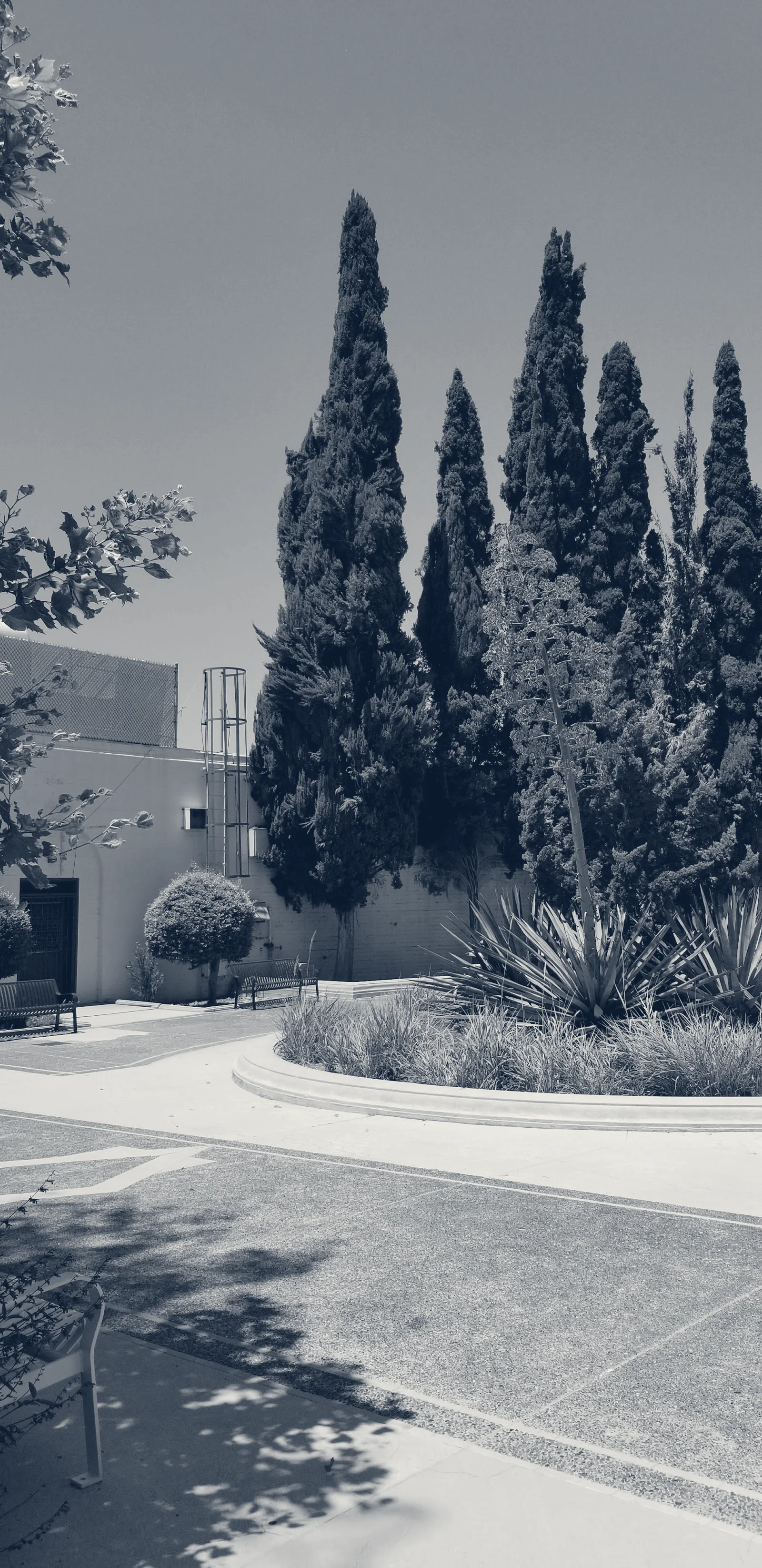 The Wellness Center @ General Hospital — Los Angeles, California