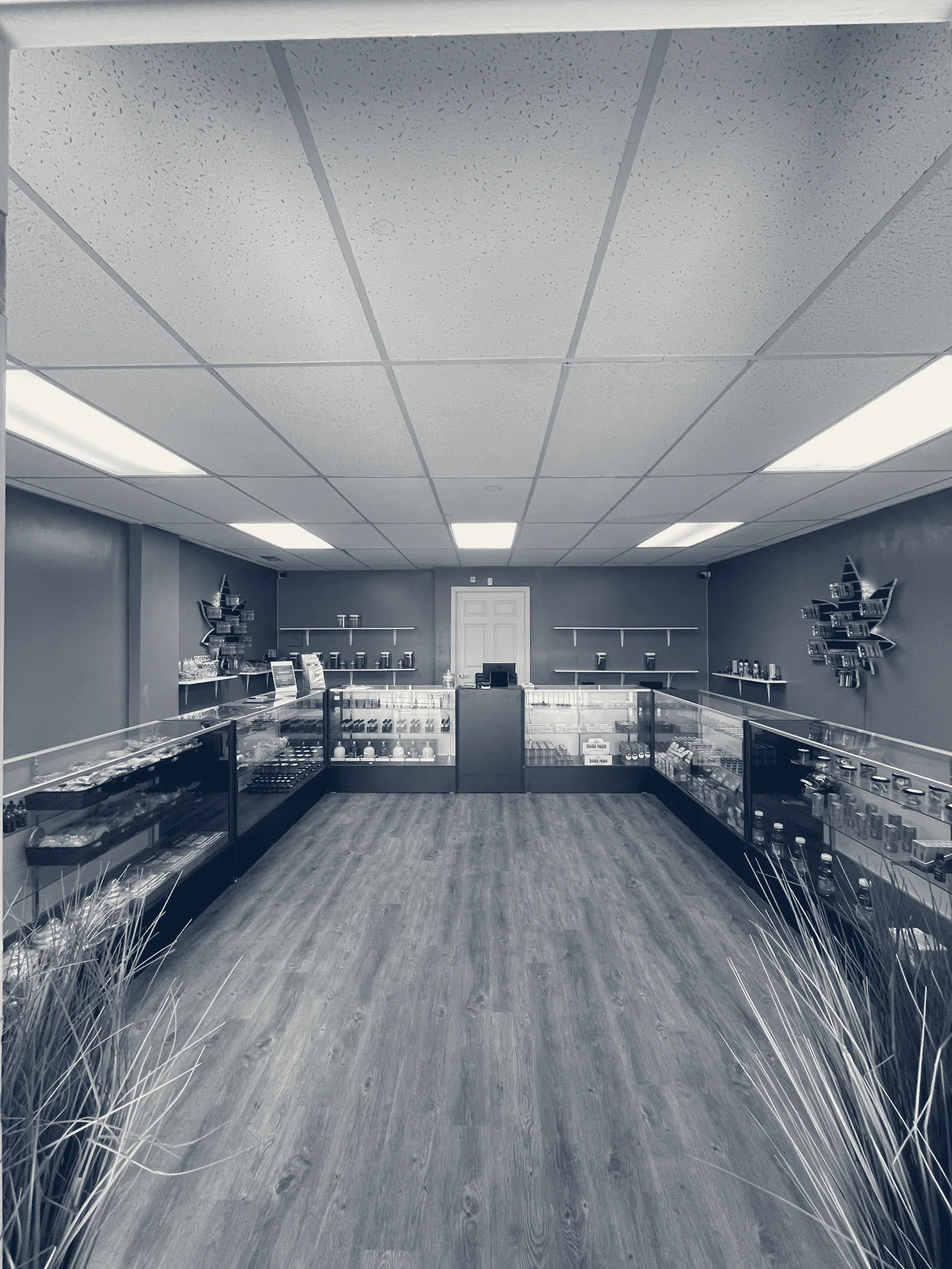 The Cannabis Factory — Omaha, Nebraska