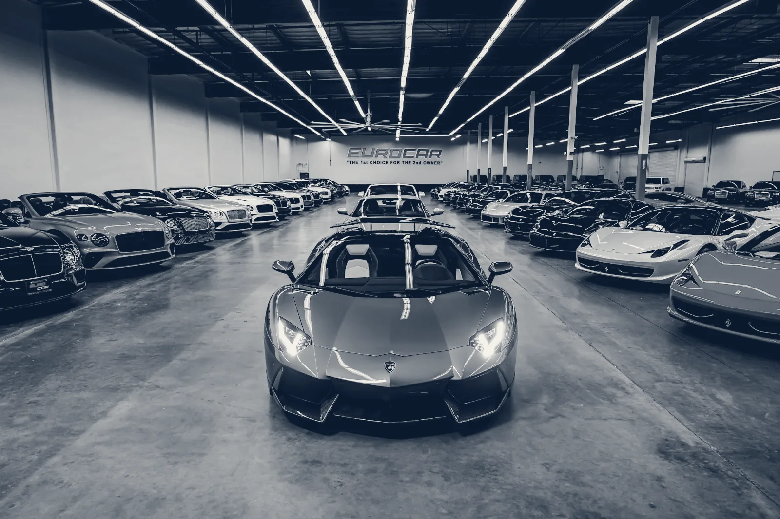 EuroCar — Costa Mesa, California