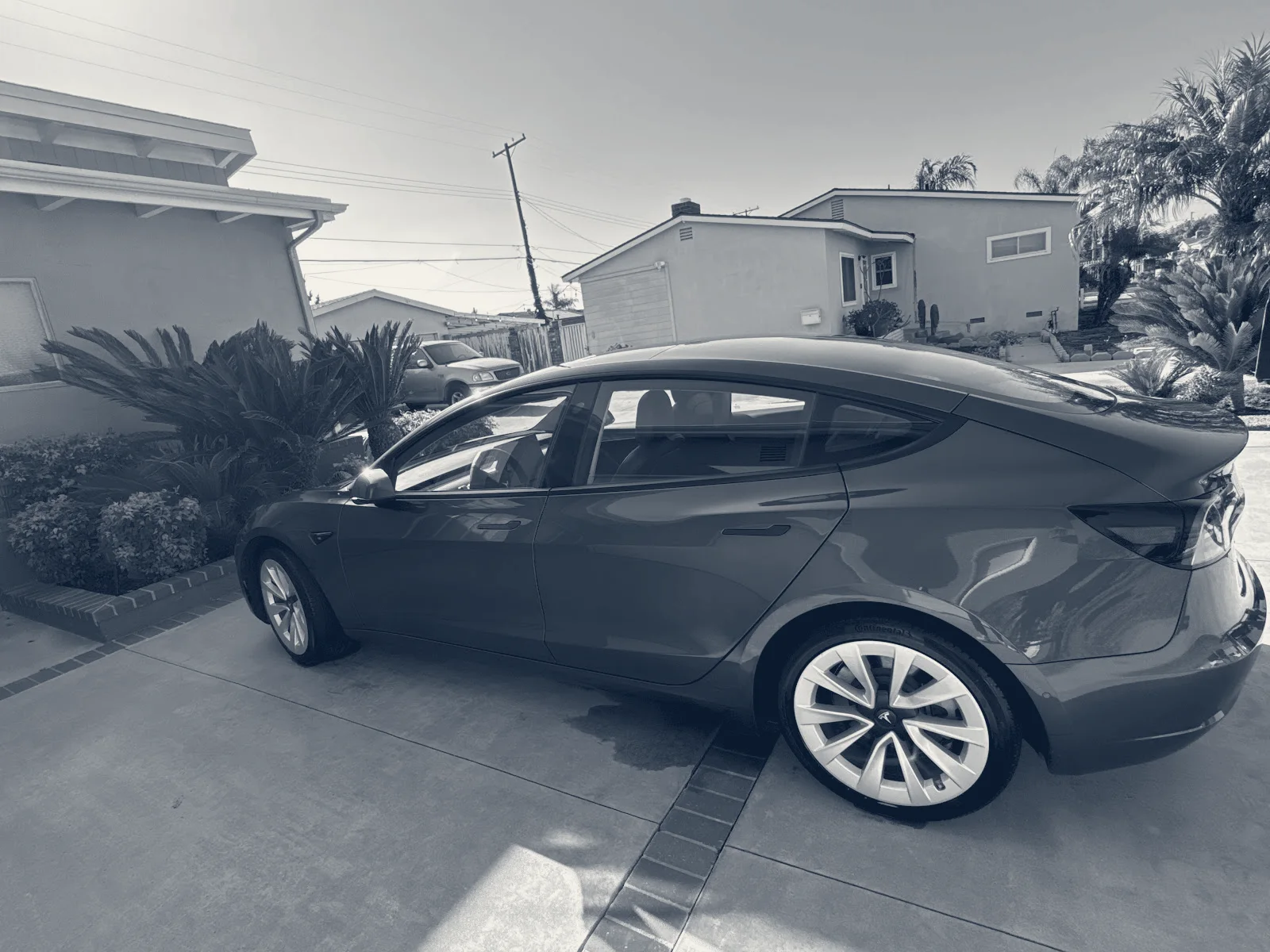 Lustrous Detail — Costa Mesa, California