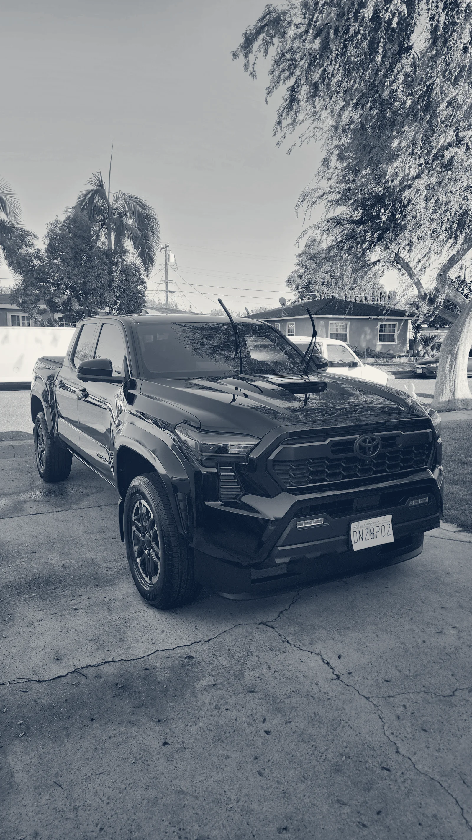 Lustrous Detail — Costa Mesa, California